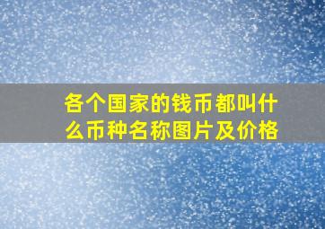 各个国家的钱币都叫什么币种名称图片及价格