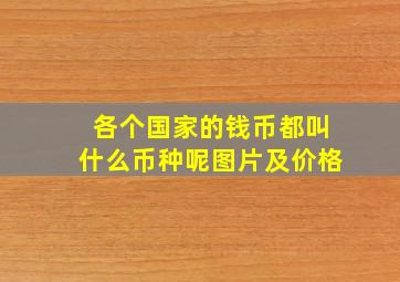 各个国家的钱币都叫什么币种呢图片及价格