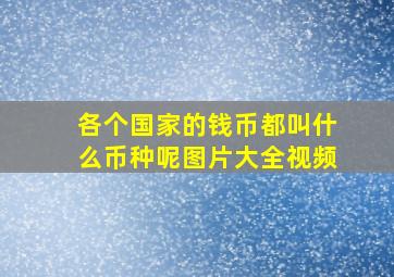 各个国家的钱币都叫什么币种呢图片大全视频