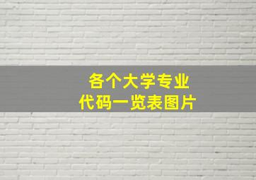 各个大学专业代码一览表图片