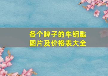 各个牌子的车钥匙图片及价格表大全