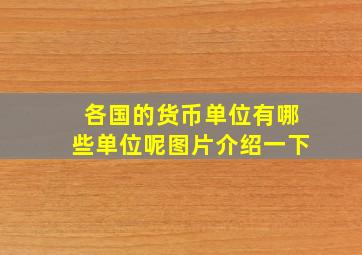 各国的货币单位有哪些单位呢图片介绍一下