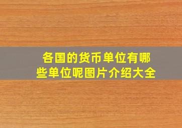 各国的货币单位有哪些单位呢图片介绍大全