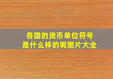 各国的货币单位符号是什么样的呢图片大全