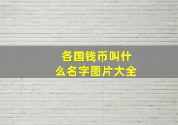 各国钱币叫什么名字图片大全