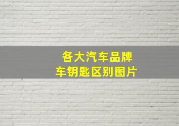 各大汽车品牌车钥匙区别图片