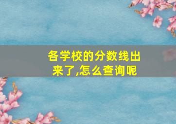 各学校的分数线出来了,怎么查询呢