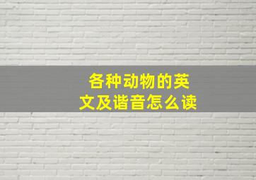 各种动物的英文及谐音怎么读