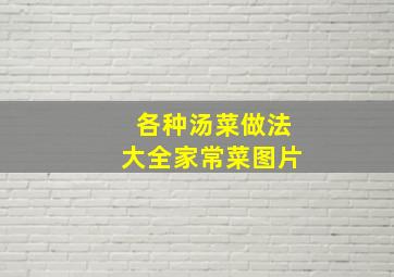 各种汤菜做法大全家常菜图片