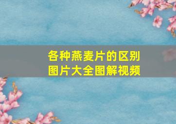 各种燕麦片的区别图片大全图解视频