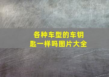 各种车型的车钥匙一样吗图片大全