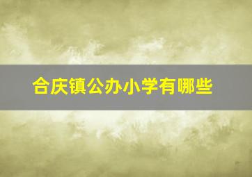 合庆镇公办小学有哪些