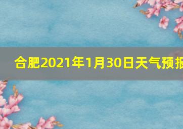 合肥2021年1月30日天气预报