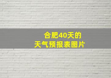 合肥40天的天气预报表图片