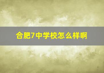 合肥7中学校怎么样啊