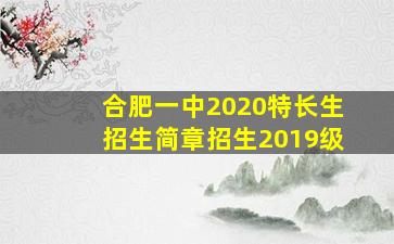 合肥一中2020特长生招生简章招生2019级