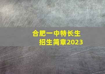 合肥一中特长生招生简章2023