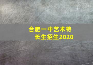 合肥一中艺术特长生招生2020