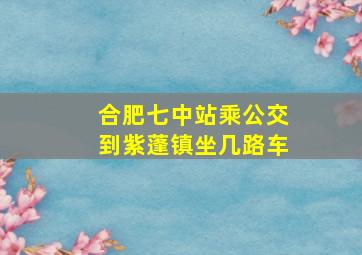 合肥七中站乘公交到紫蓬镇坐几路车