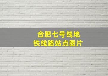 合肥七号线地铁线路站点图片