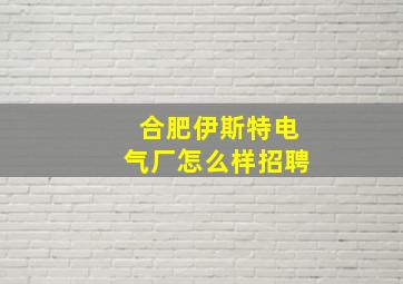 合肥伊斯特电气厂怎么样招聘