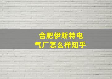 合肥伊斯特电气厂怎么样知乎