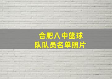 合肥八中篮球队队员名单照片