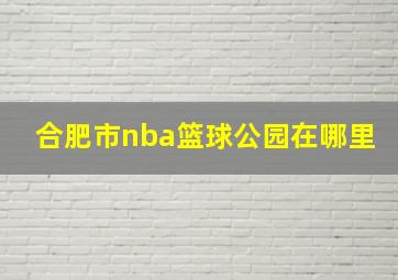 合肥市nba篮球公园在哪里