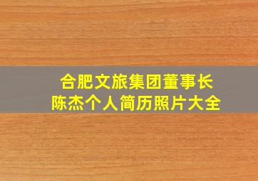 合肥文旅集团董事长陈杰个人简历照片大全