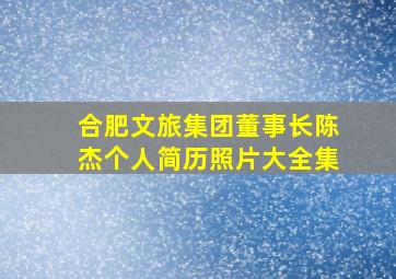 合肥文旅集团董事长陈杰个人简历照片大全集