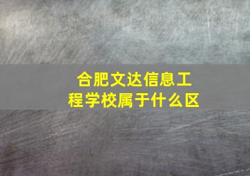 合肥文达信息工程学校属于什么区