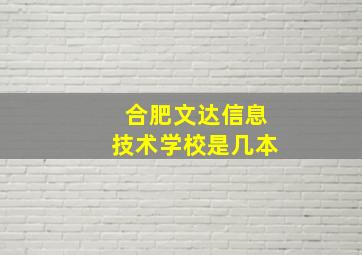 合肥文达信息技术学校是几本