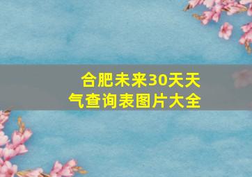 合肥未来30天天气查询表图片大全