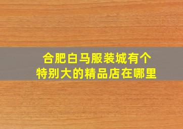 合肥白马服装城有个特别大的精品店在哪里