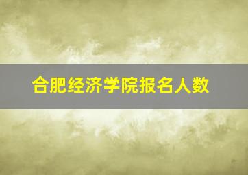 合肥经济学院报名人数