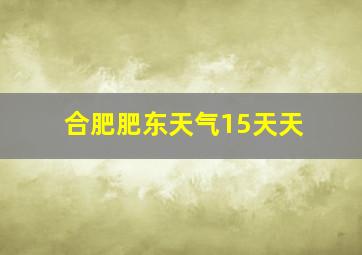 合肥肥东天气15天天