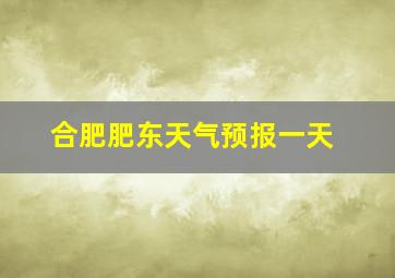 合肥肥东天气预报一天