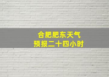 合肥肥东天气预报二十四小时