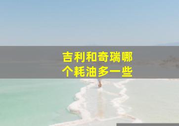 吉利和奇瑞哪个耗油多一些