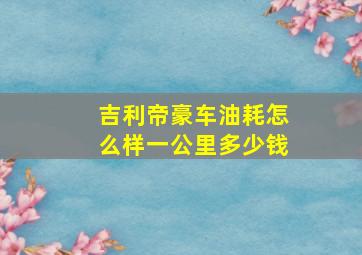 吉利帝豪车油耗怎么样一公里多少钱