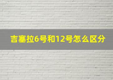 吉塞拉6号和12号怎么区分