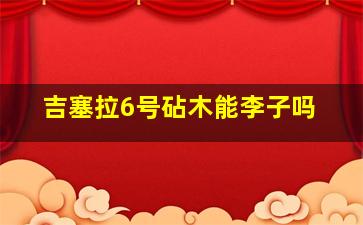 吉塞拉6号砧木能李子吗