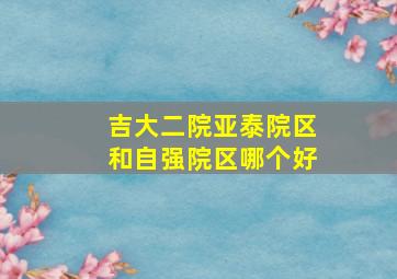 吉大二院亚泰院区和自强院区哪个好