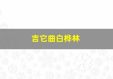 吉它曲白桦林