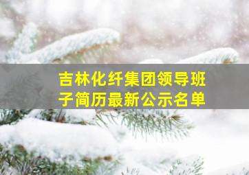 吉林化纤集团领导班子简历最新公示名单