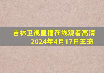 吉林卫视直播在线观看高清2024年4月17日王琦