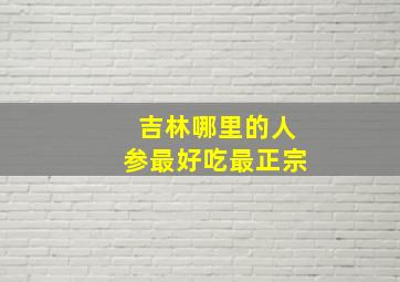 吉林哪里的人参最好吃最正宗