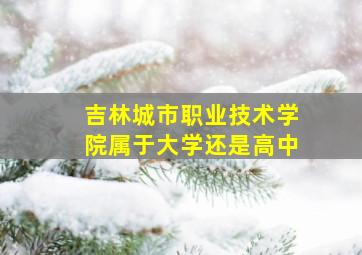 吉林城市职业技术学院属于大学还是高中