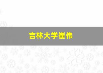 吉林大学崔伟