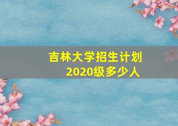 吉林大学招生计划2020级多少人